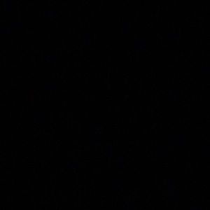 Meet your Posher, Benito